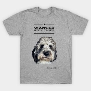 Cockapoo / Doodle Dog Sock Thief T-Shirt